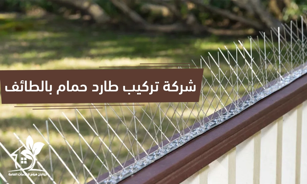 شركة تركيب طارد حمام بالطائف